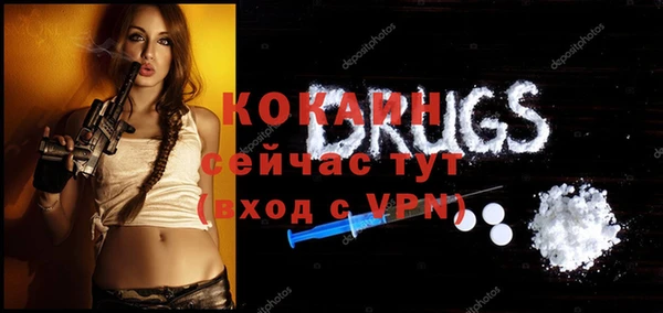 соль ск Верея
