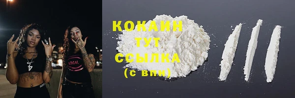 соль ск Верея