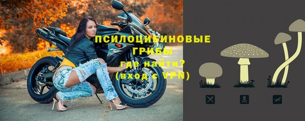 соль ск Верея