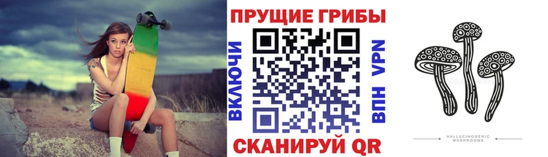 Галлюциногенные грибы Psilocybe  Ижевск 